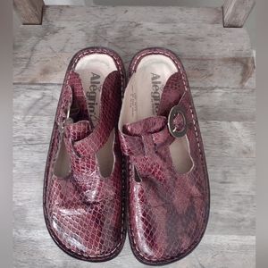 Alegria Clogs